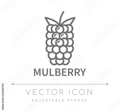 Mulberry Line Icon