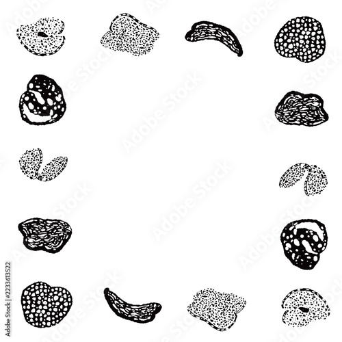 Truffle Mushroom Square Frame Monochrome Hand Drawn Vector Illustration