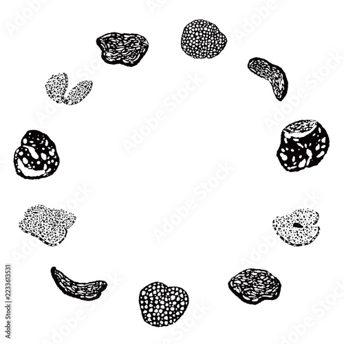 Truffle Mushroom Round Frame Monochrome Hand Drawn Vector Illustration
