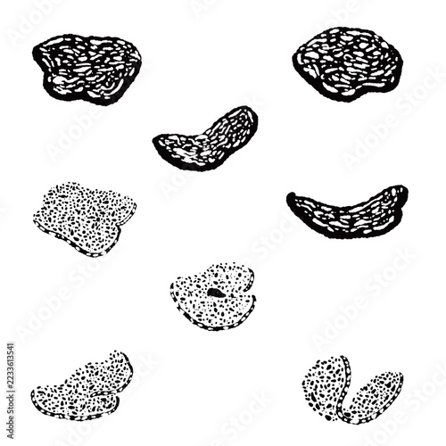 Scattered Sliced White Truffles Monochrome Hand Drawn Vector Illustration