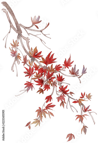 Red Maple Branch with Autumn Leaves Watercolor Illustration