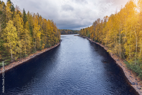 River in the autumn forest.

