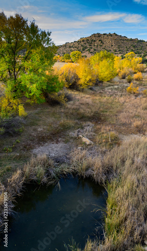 A small body of water is depicted in an arid landscape in Oklahoma, USA, surrounded by cattail (Typha spp.) and eastern cottonwood (Populus deltoides) trees displaying bright yellow autumn foliage.
