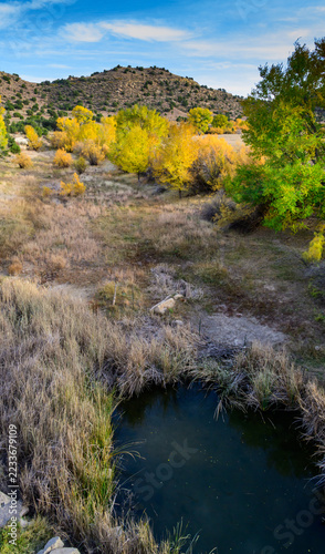 A small body of water is depicted in an arid landscape in Oklahoma, USA, surrounded by cattail (Typha spp.) and eastern cottonwood (Populus deltoides) trees displaying bright yellow autumn foliage.