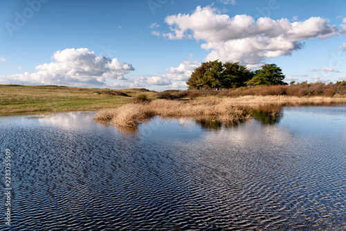 Obraz na plátně The ponds of Trévignon, Trégunc, Brittany, France