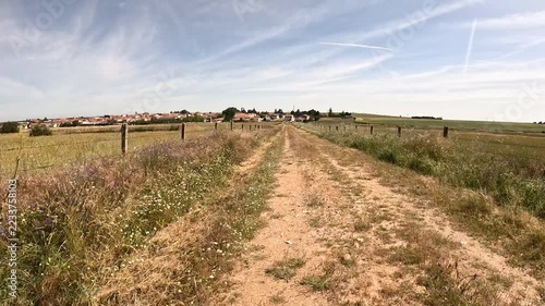 Via de la Plata, dirt road near San Pedro de Rozados, province of Salamanca, Castile and Leon, Spain