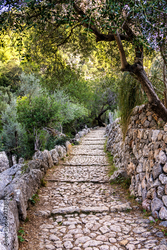 The Barranc de Biniaraix ravine with natural stone path and dry stone walls in the Serra de Tramuntana mountains, Mallorca, Balearic Islands, Spain