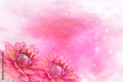 Banner with Dahlias in colors of pink 