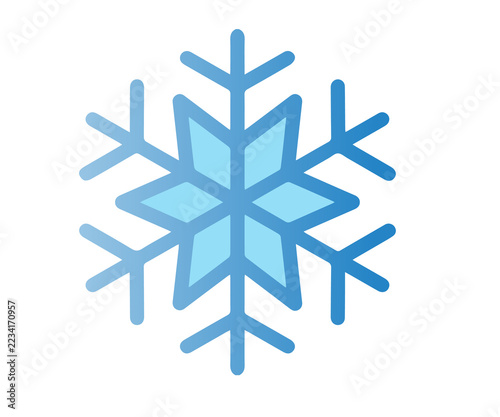 Snowflake vector icon