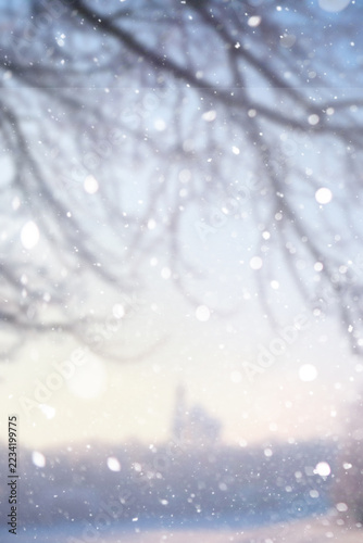 Blurred snow background. Winter landscape. Trees and plants covered with snow.