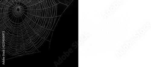 Spider Web Corner, curved white spider web top corner isolated on transparent background