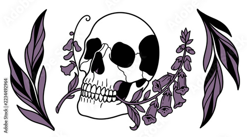 Gothic Human Skull Illustration with Purple Foxglove Flowers and Decorative Botanical Leaf Accents for Dark Aesthetic Design Projects