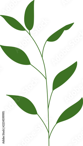 Leaf Branch Botanical Silhouette