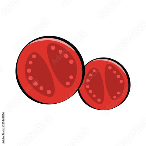 Cute sliced fresh red tomato vector illustration isolated on white background. Hand-drawn style tomato slices graphic icon for food menu design