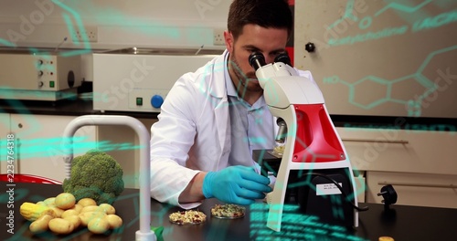 Scientist at lab bench in lab coat, blue gloves examining broccoli in petri dishes with microscope