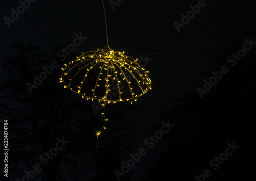 Umbrella-shaped string lights hang above trees in the dark at night