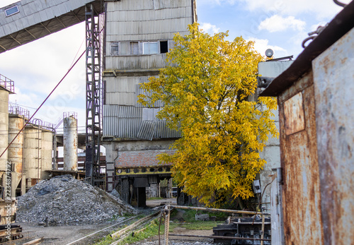 Yellow-leaved tree stands among industrial buildings, silos, and machinery at an outdoor plant site