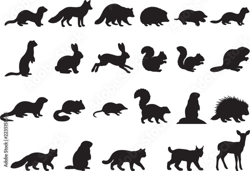 Small Mammal Silhouettes Featuring Foxes Rabbits Squirrels Otters Hedgehogs and Deer