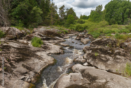 Narrow stream winds through smooth granite rock in a green summer landscape.