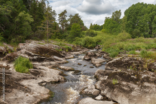 Rapids flow between rounded granite rocks lined with green summer trees.