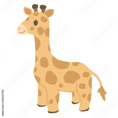 Photography hand drawn giraffe