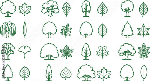 Tree and Leaf Green Line Icon Set Botanical Species Collection