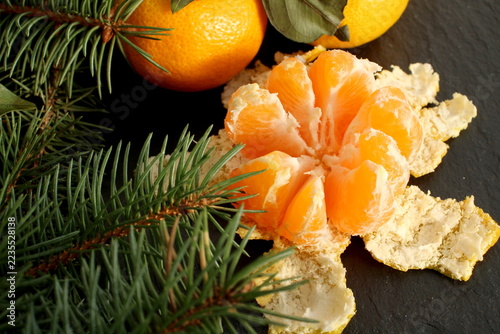 Fotografie On a black background lie some tangerines—one of them peeled—along with a sprig of spruce
