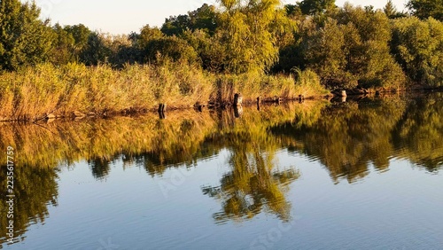 Obraz na plátně River reflects golden trees and tall reeds under warm evening light