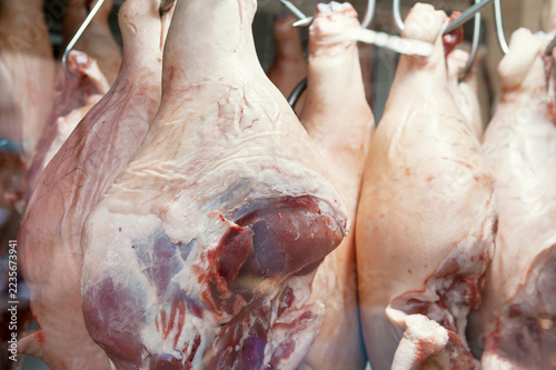 Obraz na plátně Raw pork meat carcass hanging on hook