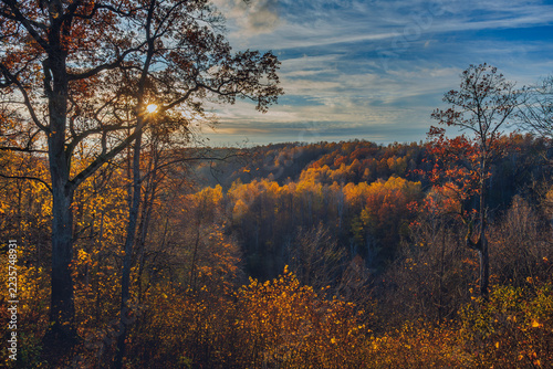 Autumn forest landscape in Duksta Valley, Lithuania