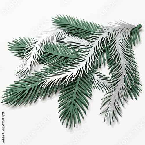 Green and silver pine branch cutout on white background
