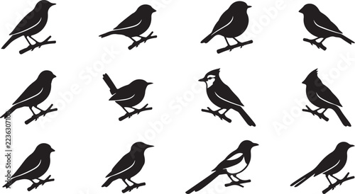 Set of bird silhouettes perched on tree branches on white background