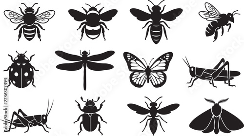 Set of black silhouette icons of different insects and bugs collection