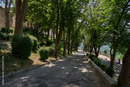 Fotografie Urbino, Italy - June 21, 2026 - Tree-lined park road descending beneath a dense