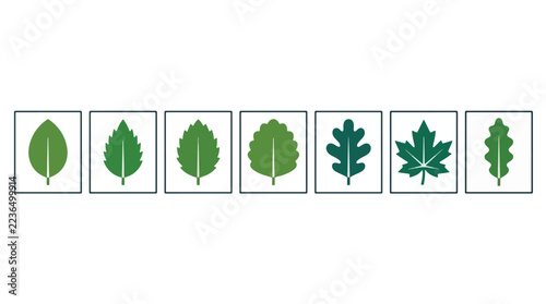 Seven green leaf icons in square frames representing various plant species for nature