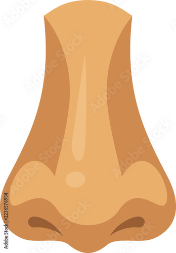 Close-up cartoon illustration of a human nose with clear skin and shadow detail for medical or cosmetic concepts