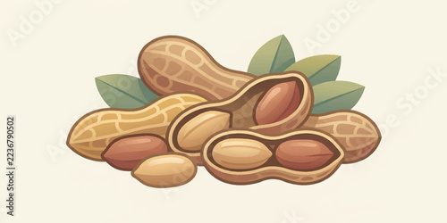 Fresh Peanuts in Shells with Green Leaves Illustration.