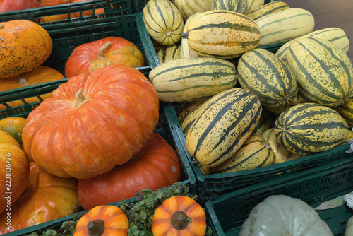 Orange pumpkins and striped Delicata squash sit in plastic crates on store shelves as the shop prepares for Halloween season
