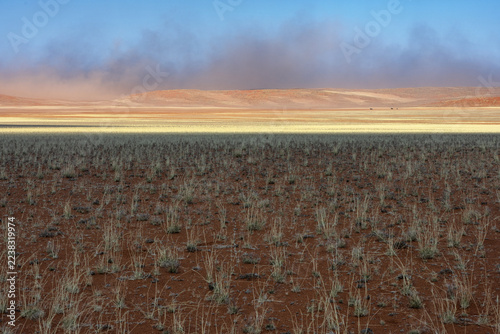 Field of shrubs across a red plain in the Namib Desert